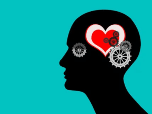 Formación en inteligencia emocional la sabiduría de las emociones en Barcelona