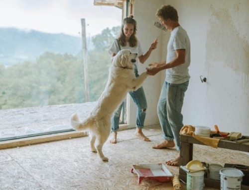 Personalidad en la elección de pareja